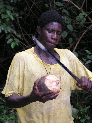 Vendor prepares coconut